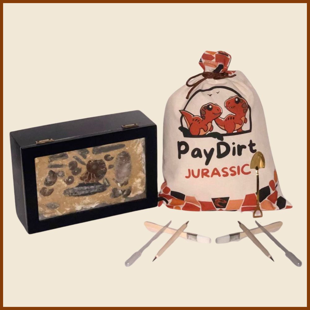 PayDirt Jurassic XXL
